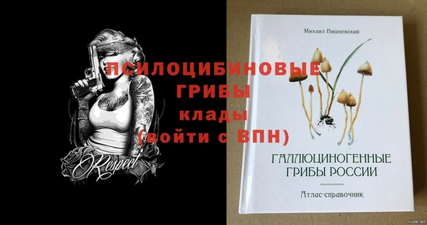 стафф Арсеньев