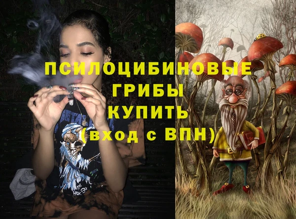 стафф Арсеньев