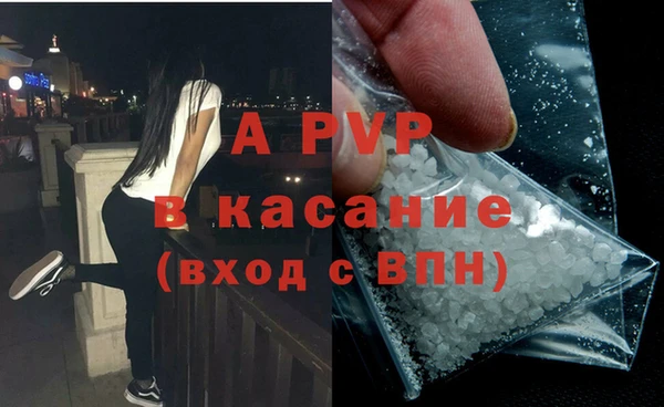 стафф Арсеньев