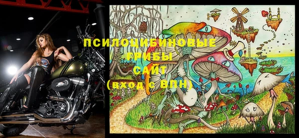 стафф Арсеньев